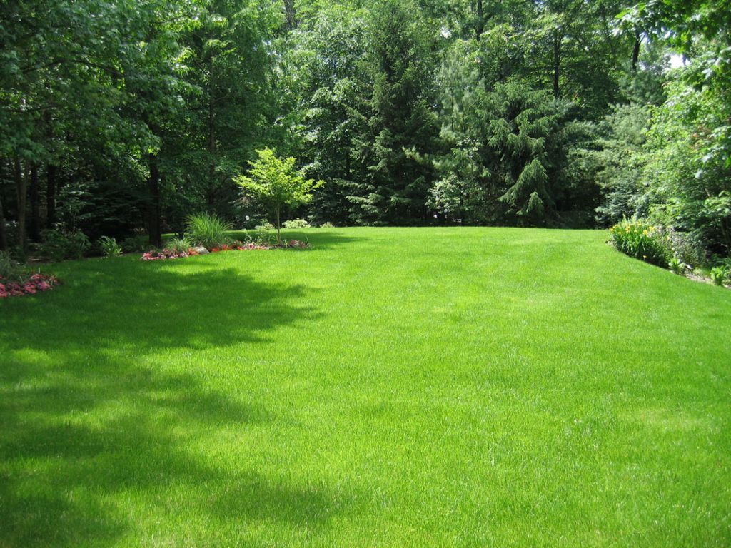garden-lawn-design – Shri Shani Dev Green Nursery
